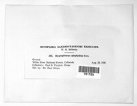 Image Associated With the Occurence